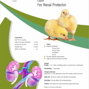 R-Renal Pro